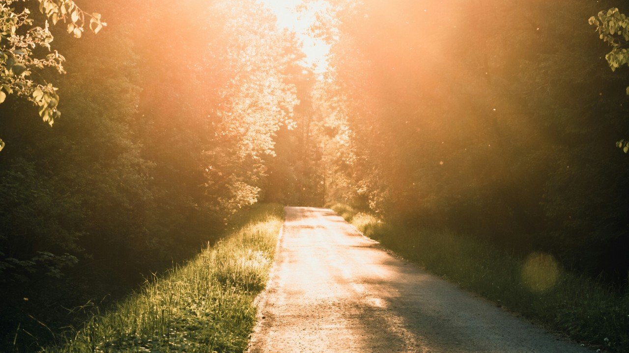 A country road lit by early morning sunlight through trees, suggesting a clear path forward