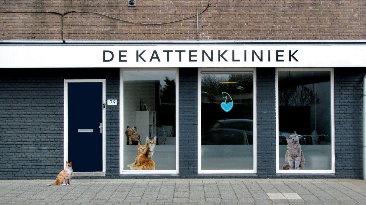 De Kattenkliniek, a veterinary clinic storefront in the Netherlands